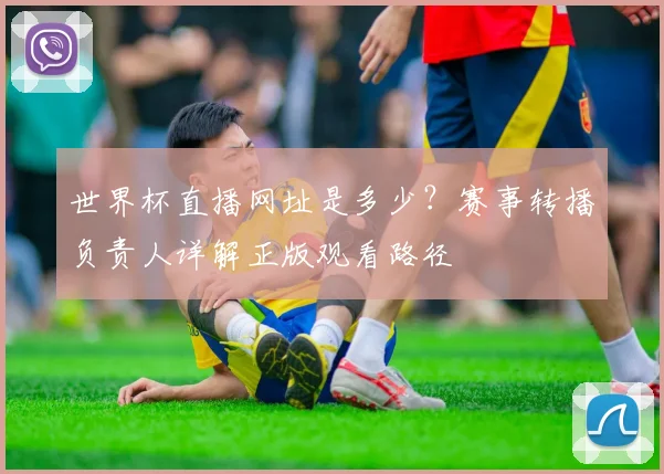 世界杯直播网址是多少?赛事转播负责人详解正版观看路径