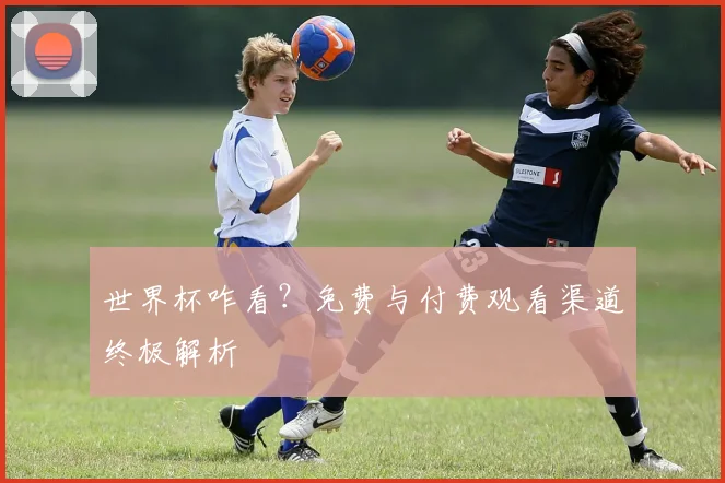 世界杯咋看？免费与付费观看渠道终极解析