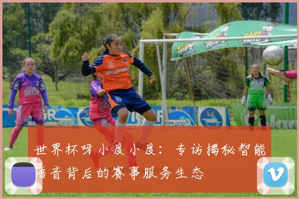 世界杯呀小度小度：专访揭秘智能语音背后的赛事服务生态