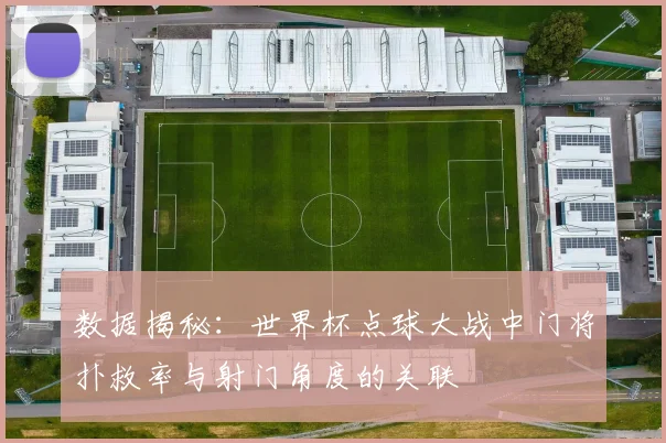 数据揭秘：世界杯点球大战中门将扑救率与射门角度的关联