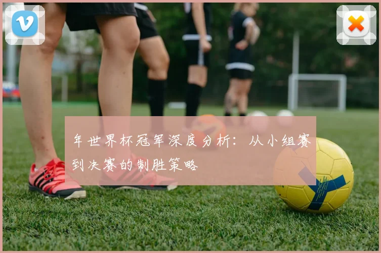 年世界杯冠军深度分析：从小组赛到决赛的制胜策略
