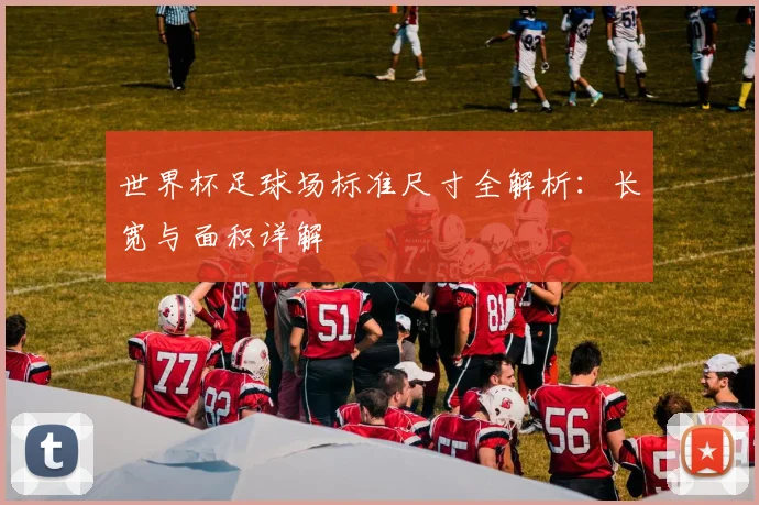 世界杯足球场标准尺寸全解析：长宽与面积详解